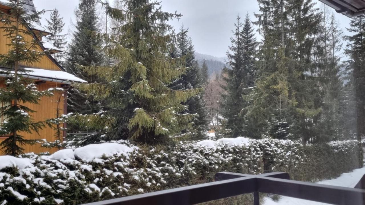 Apart4You Apartamenty Bulwary25 Zakopane Eksteriør billede