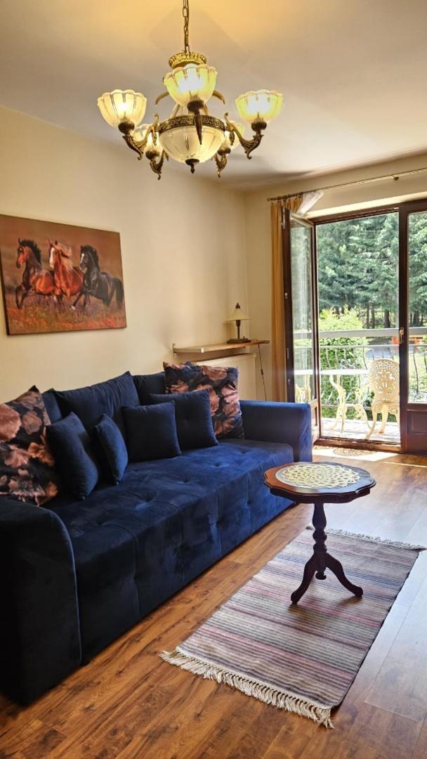 Apart4You Apartamenty Bulwary25 Zakopane Værelse billede